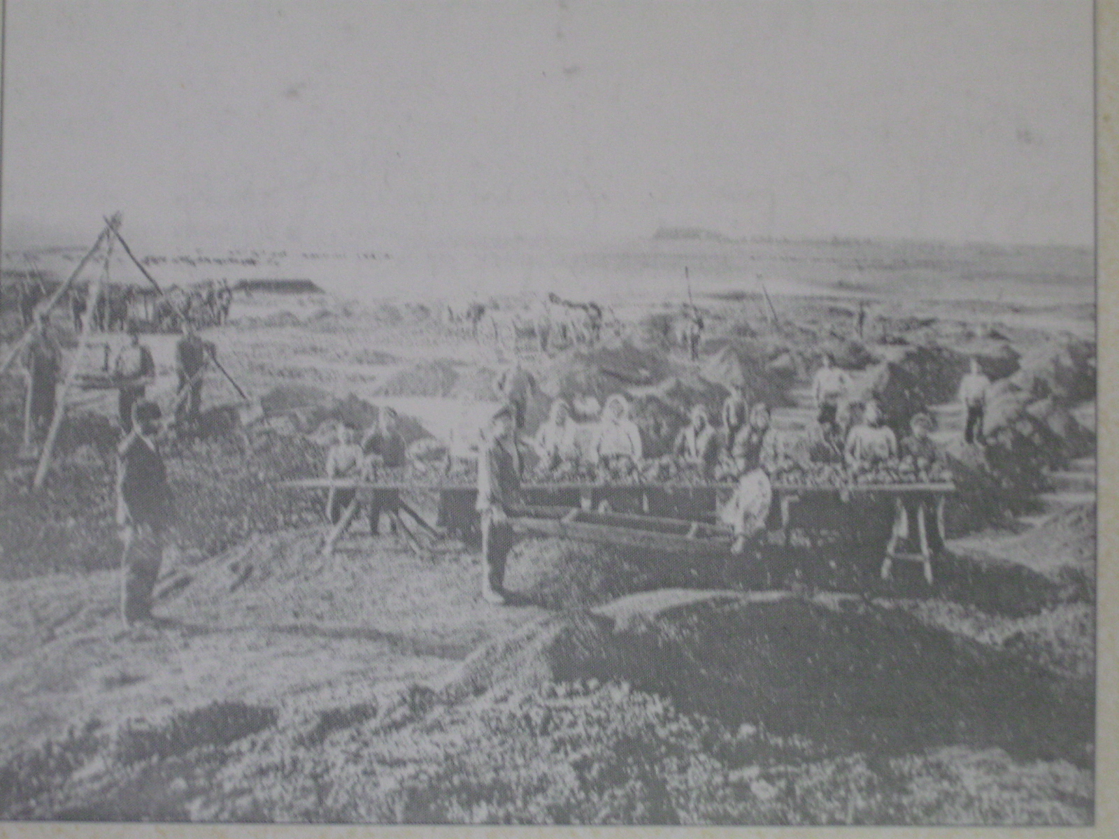 Двенадцатичасовый рабочий день и ежедневная опасность для жизни: как добывали марганец в Никопольском районе ХІХ века | Прихист 