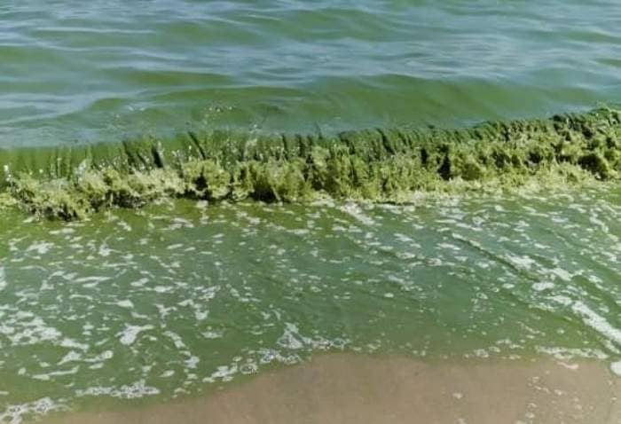 На шести пляжах Днепропетровщины качество воды не соответствует норме | Прихист 