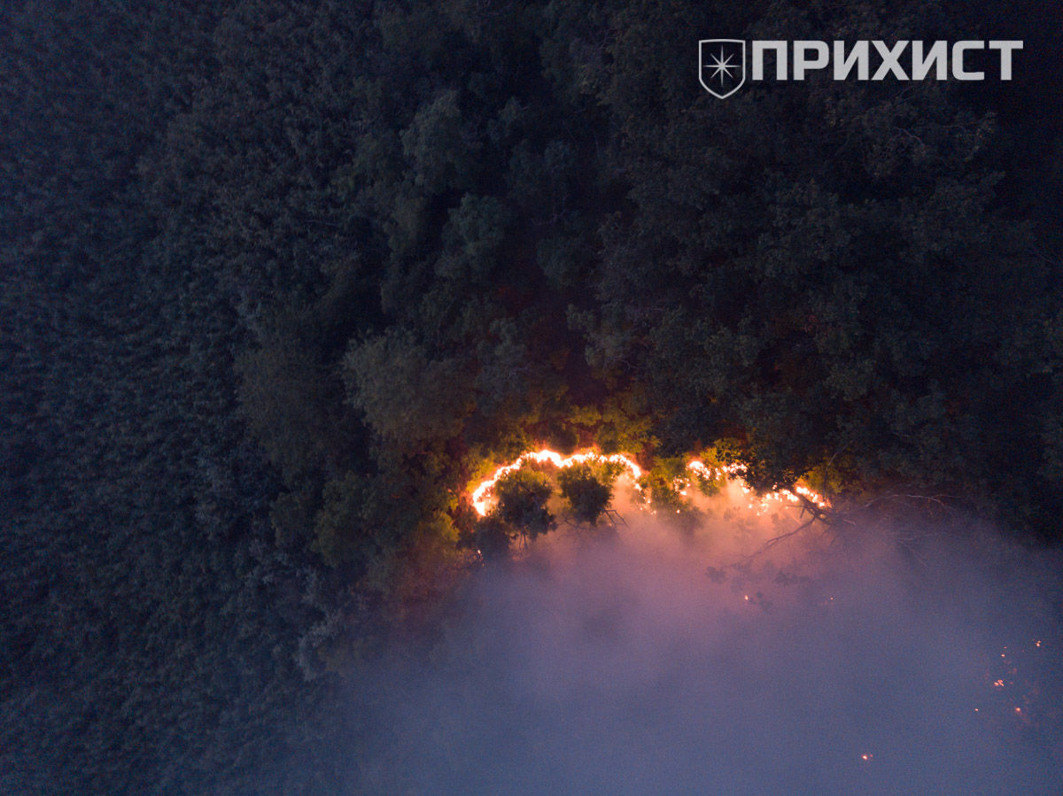 Каменское в дыму: горит лесопосадка около каменного карьера | Прихист Каменское в дыму: горит лесопосадка около каменного карьера | Прихист
