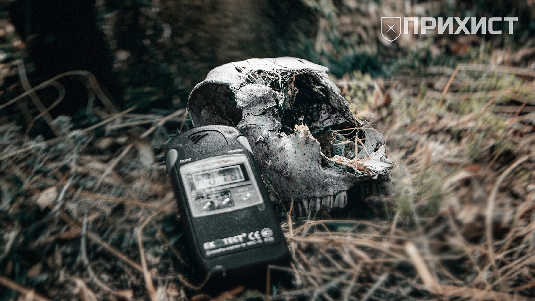 Остались ли следы радиации в с. Довгиевка? | Прихист Остались ли следы радиации в с. Довгиевка? | Прихист