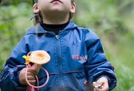 В Марганце ребенок отравился грибами | Прихист В Марганце ребенок отравился грибами | Прихист