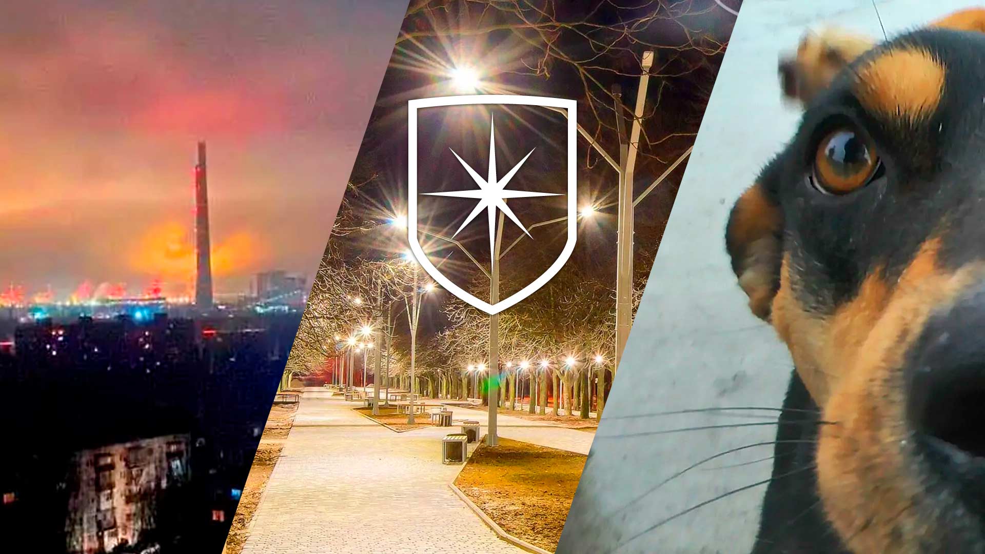 Итоги недели 1—7 февраля | Прихист 