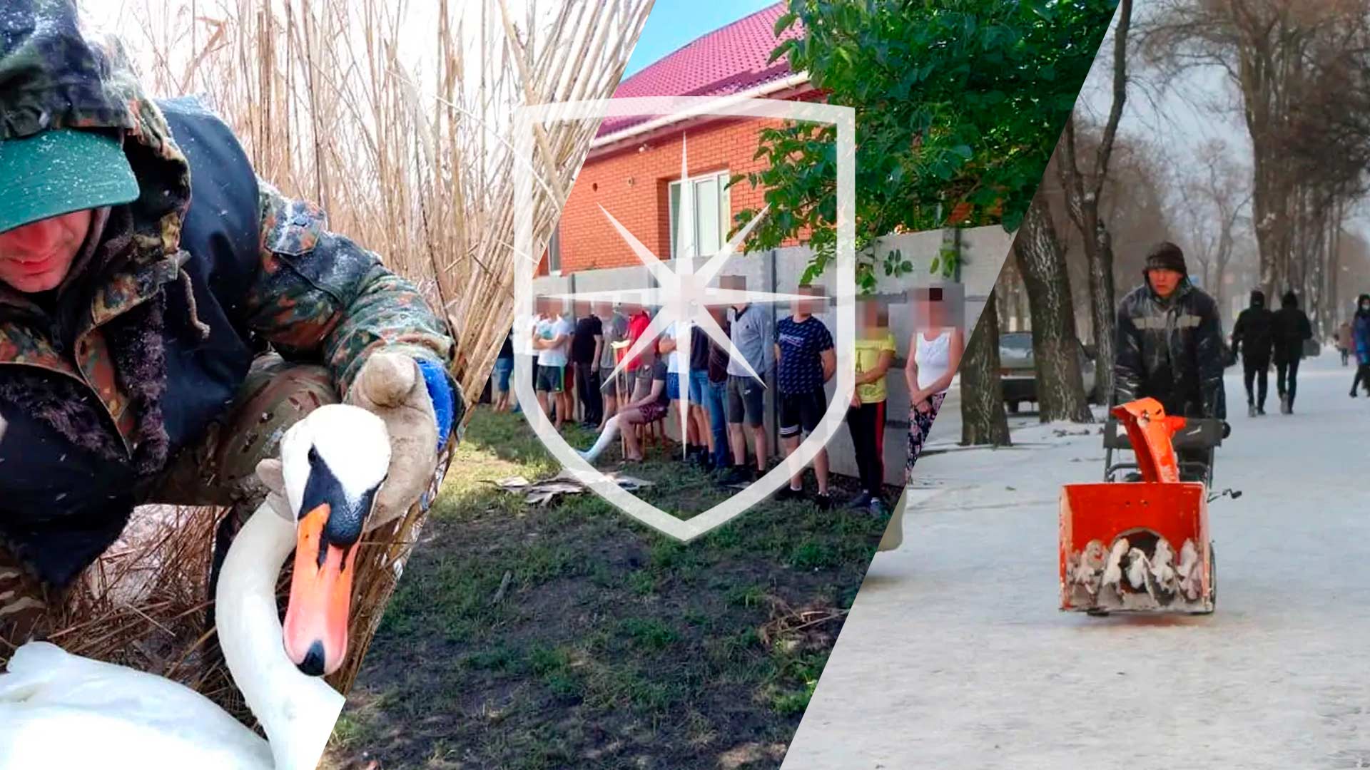 Итоги недели 8 — 14 февраля | Прихист 