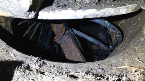 В Никополе задержана группа кабельных воров | Прихист 