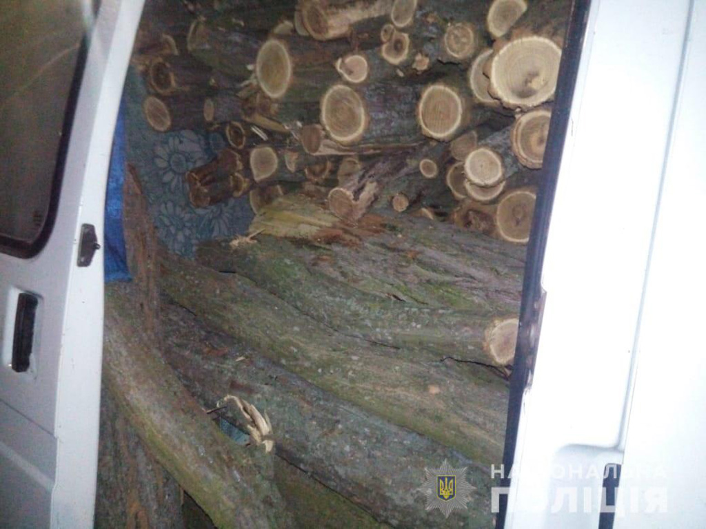 В Никопольском районе полицейские разоблачили двух мужчин, которые занимались незаконной вырубкой деревьев | Прихист 