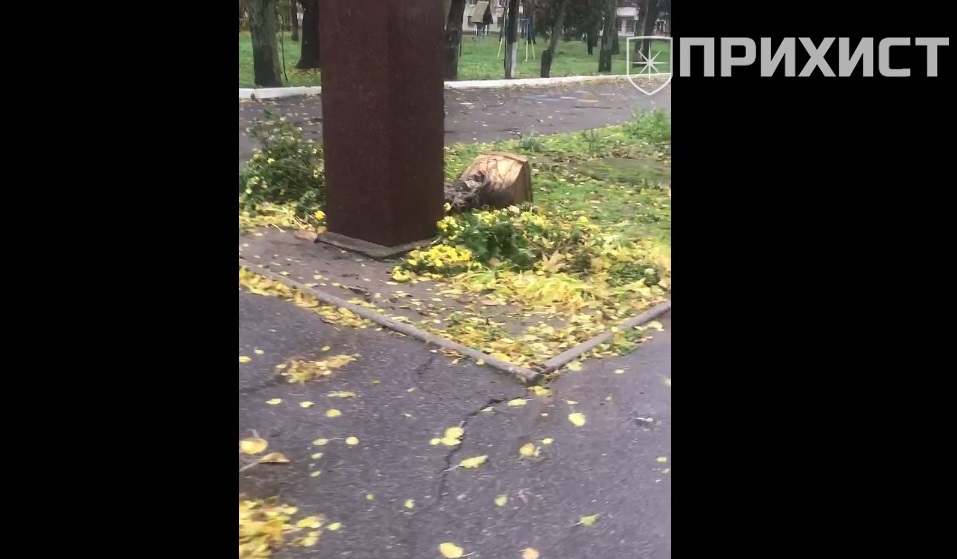 У Нікополі впав пам’ятник Пушкіну | Прихист 