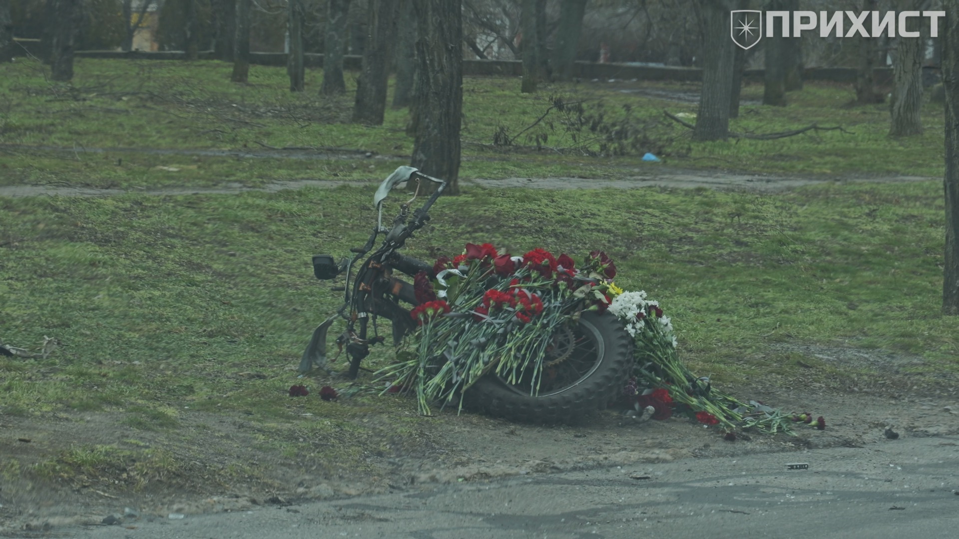 637514439_1236913795253769_8276253736432429545_n