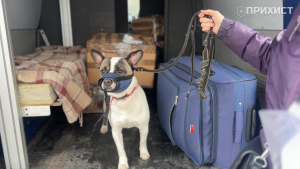 Евакуація з Нікополя: хто допомагає виїхати і куди звертатися