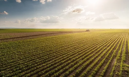 На Нікопольщині стартувала посівна кампанія | Прихист 